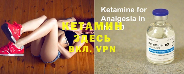 стаф Аркадак