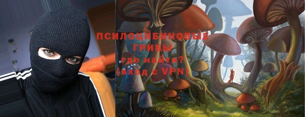тгк Арсеньев