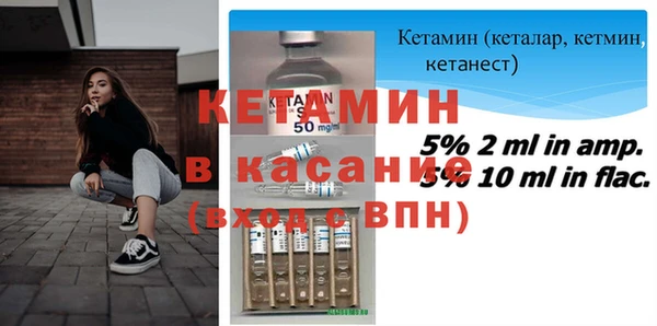 стаф Аркадак