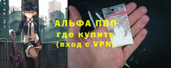 стаф Аркадак
