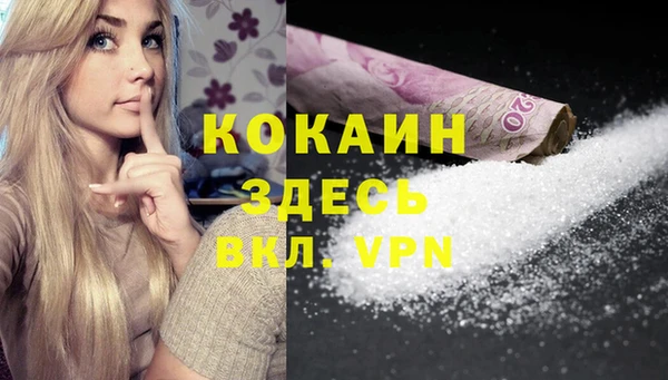 стаф Аркадак