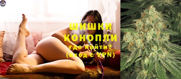 стаф Аркадак
