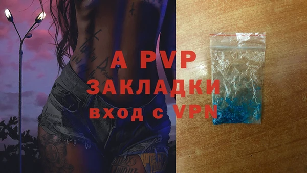 стаф Аркадак