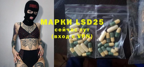 стаф Аркадак